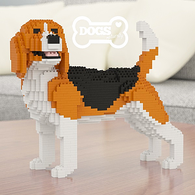 Beagle (Wag) Jekca Available in 2 Sizes